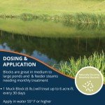 Kasco Macro Zyme Bacteria Blocks for Ponds - 2 Pack