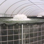 Kasco 3/4hp Surface Pond Aerator with Float