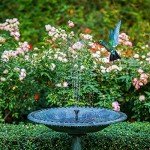 2.5W Solar Fountain Pump for Bird Baths & Gardens