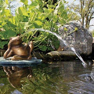 Lazy Frog Lily Pad Fountain for Ponds