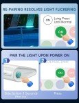 Solar Pool Fountain with Lights & Remote Control