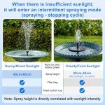 Solar Bird Bath Fountain with Floating Pump and Nozzles
