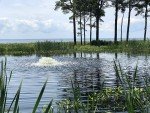 Kasco Marine 1hp Pond Surface Aerator with Cord