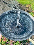 Solar Powered Bird Bath Fountain Pump Kit