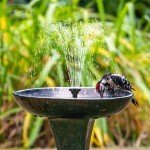 7.5W Solar Pond Pump with DIY Tubing