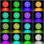 LED Submersible Pond Lights with Remote Control