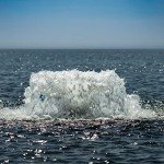 Kasco 3/4HP Surface Aerator with 100ft Power Cord