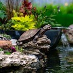 Aquascape Turtle Log Spitter Fountain for Ponds