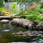 Aquascape Turtle Log Spitter Fountain for Ponds