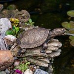 Aquascape Turtle Log Spitter Fountain for Ponds