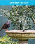 Solar Fountain Pump Kit for Bird Baths & Ponds