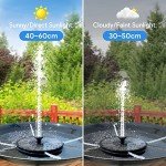 Solar Floating Fountain for Birds, Gardens, and Ponds
