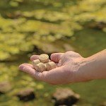 Kasco Macro Zyme Pond Muck Tablets