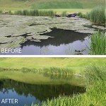 Kasco Macro Zyme Pond Muck Tablets