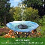 Solar Fountain Pump for Bird Bath & Pond