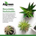Algreen Tranquility Lightweight Outdoor Water Fountain