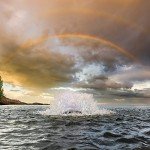 Kasco 1/2HP Surface Aerator with 50ft Cord