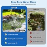 Solar Pond Fountain Pump with Filter Kit
