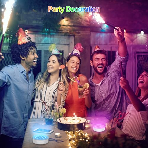 LED Submersible Lights 2 Pack for Ponds, Fountains