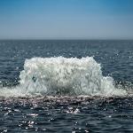 Kasco 1HP Surface Aerator with 100 ft Cord