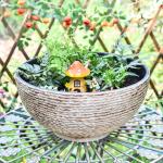 Sungmor Large Garden Bowl Water Plant Fountain