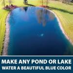 Black DyeMond Pond Dye 4X Concentrate - 1 Quart
