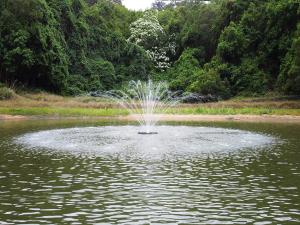 HQUA-FS02 120V Large Floating Pond Fountain 9000 GPH