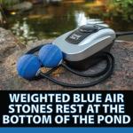 Compact Pond Aerator for Small Ponds Up to 1,000 Gallons