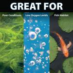 Compact Pond Aerator for Small Ponds Up to 1,000 Gallons