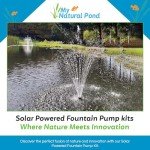 Solar Powered Twin Panel Fountain Pump Kit