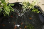 Pennington Aquagarden Octagon Raised Pond Kit