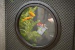 Pennington Aquagarden Octagon Raised Pond Kit