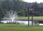 Large DIY Pond Fountain Kit with 16' Spray