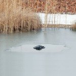 Upgraded 2-in-1 Floating Pond Fountain & Deicer