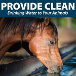 Airmax Stock Tank Defense Water Trough Cleaner