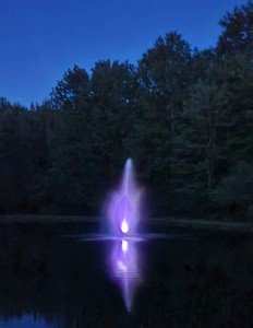 Solar Color-Changing Pond Fountain Light Kit