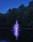 Solar Color-Changing Pond Fountain Light Kit