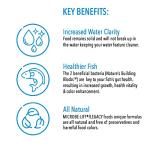 Cold Weather Fish Food Pellets for Ponds, 12 oz