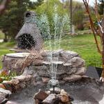 Solar Fountain Pump for Bird Bath & Pond