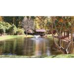 Scott Aerator DA-20 Pond Fountain and Aerator