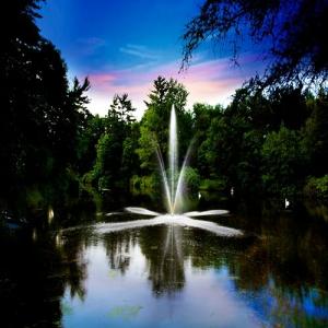 Scott Aerator Clover Big Shot Fountain 1/2 HP