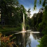 Scott Aerator Clover Big Shot Fountain 1/2 HP