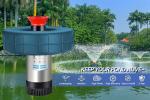 1HP Stainless Steel Floating Pond Fountain Aerator