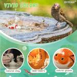 Ceramic Floating Koi Fish Pond Decor - 2PCS