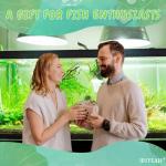 Ceramic Floating Koi Fish Pond Decor - 2PCS