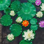 Floating Lily Pads for Ponds - 6 Pack