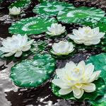 Floating Lily Pads for Ponds - 6 Pack