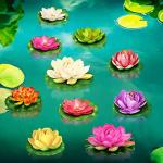 10 Realistic Floating Lotus Flowers for Ponds