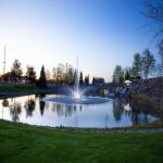 Scott Aerator Skyward Fountain - 1.5 HP Aerator