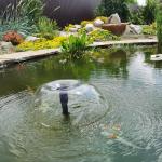 5.5W Solar Fountain Pump for Bird Bath & Ponds